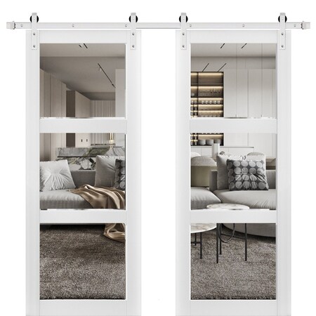Sartodoors Sturdy Double Barn Door with 3 Lites Clear Glass, Lucia 2555 White Silk, 13FT Rail Hangers Heavy S LUCIA2555DB-S-WS-64