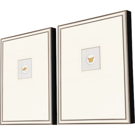 Homeroots Set Of Two Insect Intaglio II Silver Framed Print Wall Art, 2PK 526065