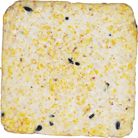 Suet Plus 11 Oz. High Energy Suet, 10PK 240