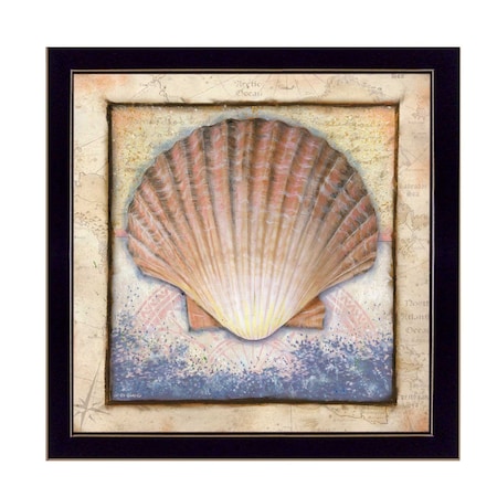 Homeroots Shell Black Framed Print Wall Art 404898