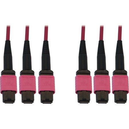 Eaton Tripp Lite Series 40/100/400G Multimode 50/125 OM4 Fiber Optic Cable 3x8F MTP/MPO-PC F/F, N858B-10M-3X8MG