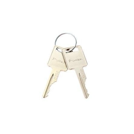 Skyjack REPLACEMENT KEY SET, IGNITION 58917261