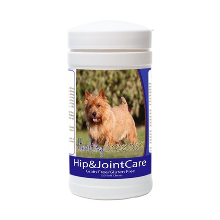 Pamperedpets Norwich Terrier Hip and Joint Care PA3495365