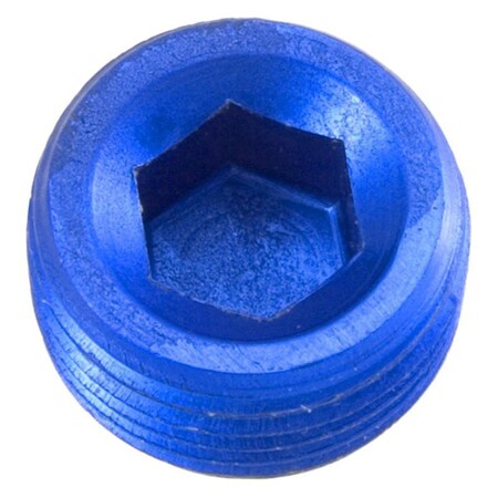 Red Horse Performance 08AN NPT Hex Head Pipe Plug - Blue RHP932-08-1