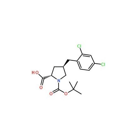 Ak Scientific Boc-(R)-γ-(2, 4-dichlorobenzyl)-L-proline (1g), CAS 959582-83-3 6687AC-1g