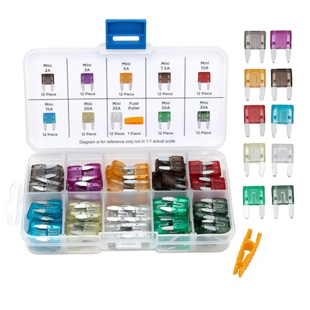 Neiko Mini Car Fuses Assortment Set, 120pc, Fast Acting, Auto Fuses Kit, Standard Sizes 50503A