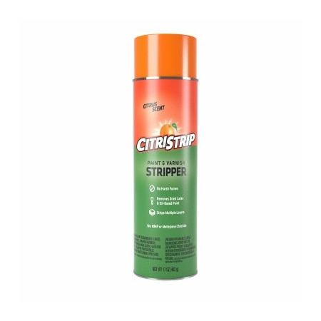 Wm Barr 18OZ Paint/Varn Remover ECSG807