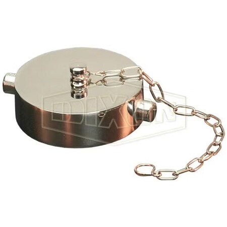 Dixon The Right Connection 17-126 Pin Lug Cap with Chain and Gasket, 2-1/2 in, FNST, Cast Brass, Domestic FC250F-P