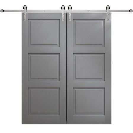 Sartodoors Modern Double Barn Door 60 x 80 inches, Ego 5010 Painted Grey Oak, 13FT Silver Rail Track Set, So EGO5010DB-S-SEK-60