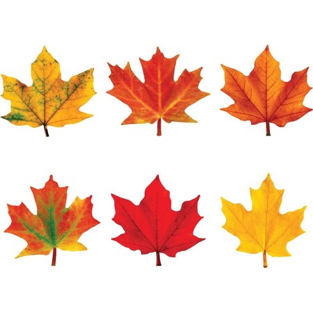 Trend Enterprises Maple Leaves Mini Accents Variety Pack, 36 Pieces, PK6 T10836