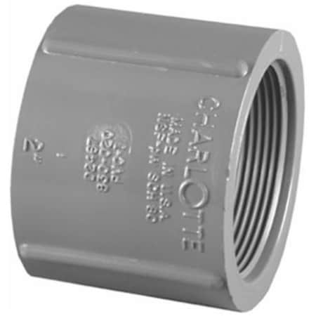 Homecare Products PVC 08102 1600HA 1.25 in. Schedule 80 Txt Coupling HO946023