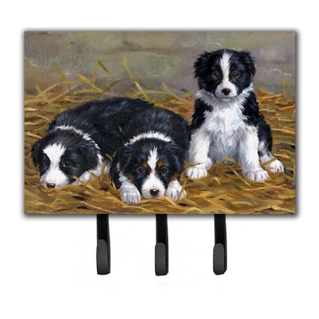 Carolines Treasures Border Collie Puppies Leash or Key Holder ASA2196TH68