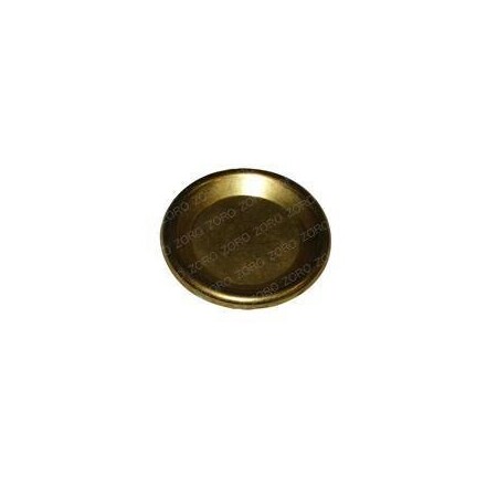 Hyster REPLACEMENT CAP 1600350