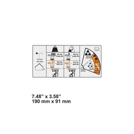 Skyjack REPLACEMENT DECAL, CAP DUAL 1000/660/600 173604