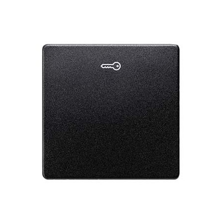 Siemens DELTA i-system carbon metallic Rocker switch with door opener symbol 5TG6228