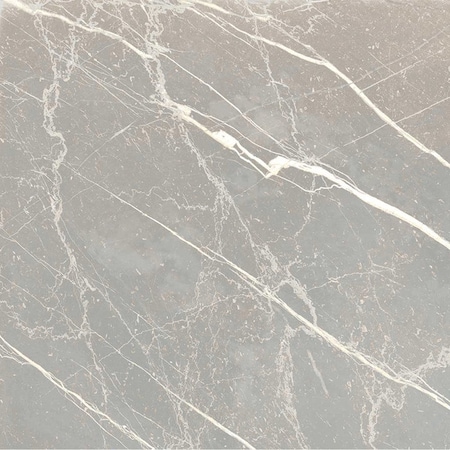 Apollo Tile Regalia 12x12 Ash Gray Porcelain Veining Wall and Floor Tile (13.56 sq ft/case), 14PK VEL88CEN1212A