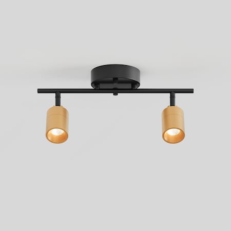 Vidalite Shura Black & Brass 2-Light Track Light with Rotatable Heads, Integrated LED, 3000k, 1120 Lmn CE1008570