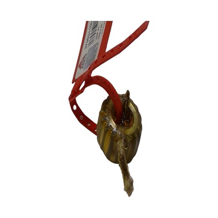 Agco DIFF PINION, AGCO OEM 3796311M4 3796311M4