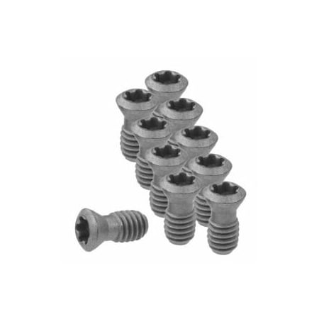 Garant Set of Insert Screws, 10 Pieces 219805