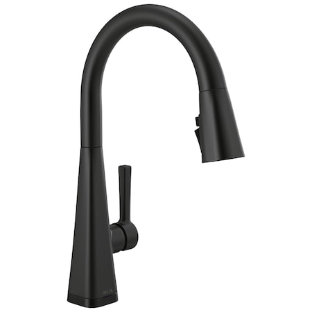 Delta Lenta Single-Handle Pull-Down Kitchen Faucet with Touch2O Technology 19802TZ-BL-DST