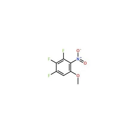 Ak Scientific 1, 2, 3-Trifluoro-5-methoxy-4-nitrobenzene (1g), CAS 925890-13-7 W9551-1g