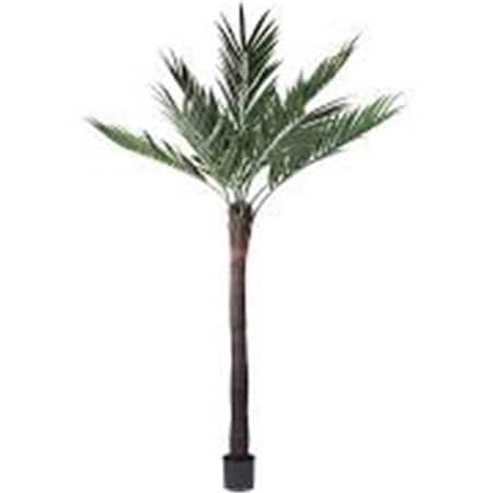 Dare2Decor 4 in. X6 Parlour Palm with 261 Leaves - Green DA1236047