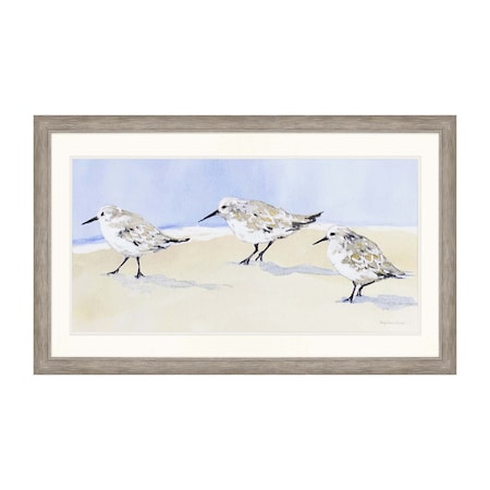 Homeroots Sandpipers I Silver Framed Print Wall Art 525087