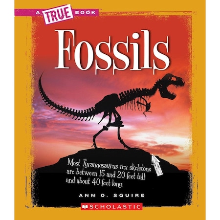 Amscope Scholastic Deluxe 48-Page Full Color Book on Fossils BK-FSL
