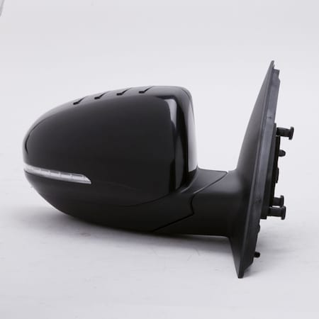 Tyc Door Mirror 8170151