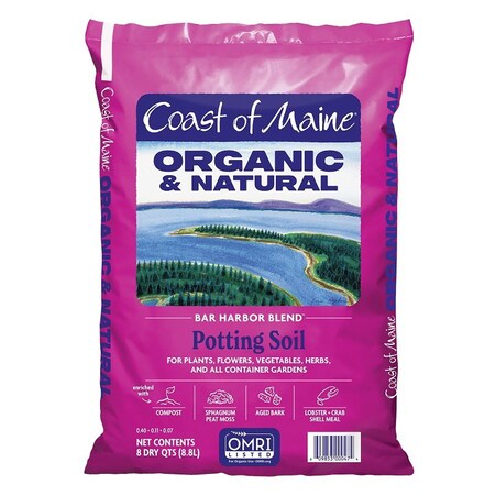 Coast Of Maine Bar Harb 8Qt Pot Soil BH8P