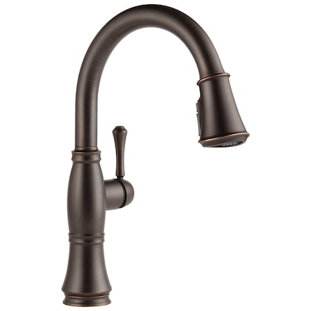 Delta Cassidy Single Handle Pull-Down Kitchen Faucet with ShieldSpray Technology 9197-RB-DST
