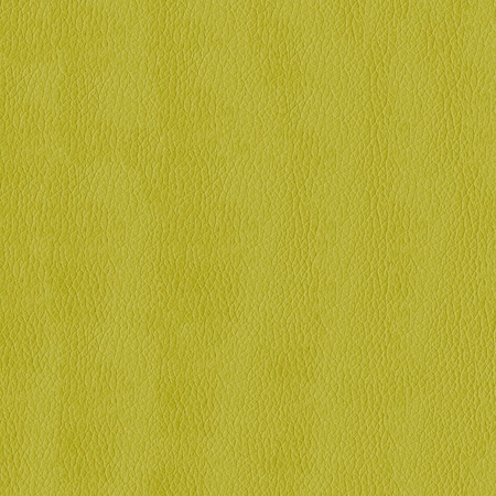 Abbeyshea Citron, Polyurethane Coated Faux Leather Fabric, 9 in L, 9 in W KENDR54M9X9