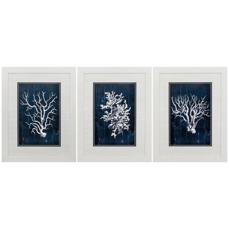 Homeroots 21" X 27" White Frame Wood Coral Blue, Set Of 3, 3PK 365730