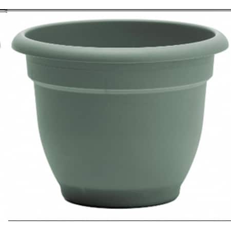 Bloem Ariana 5.25 in. H X 6.5 in. W X 6 in. D Plastic Traditional Planter Living Green AP0641