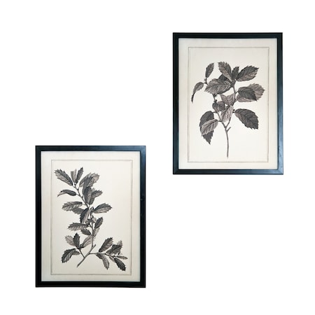 Homeroots Set of Two Black And White Botanical Leaves Framed Art, 2PK 636042