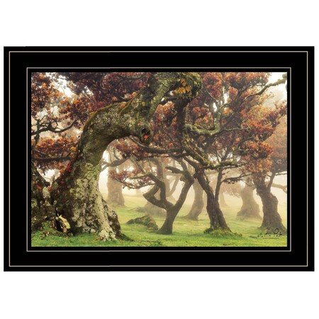 Homeroots Fanal Martin Podt Ready to Hang Framed Print Black Frame Black Framed Print Wall Art 405496