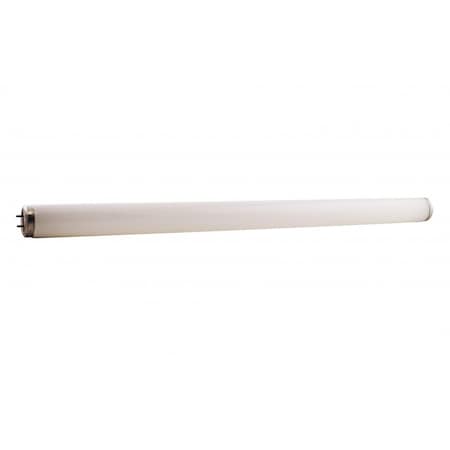 Rpi Replacement Fluorescent Tube, 20 Watt F20T12CW