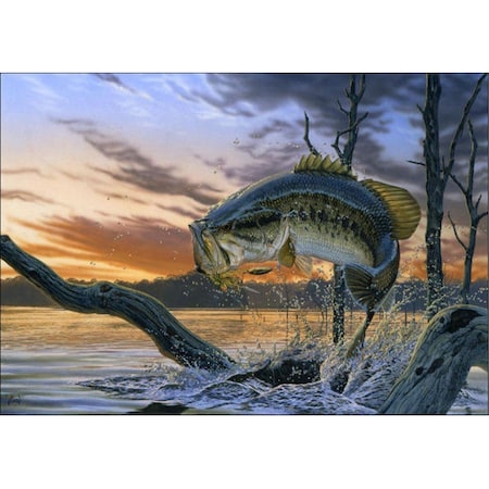 H2H DM 59 Strike King Doormat, Multicolor H22548329