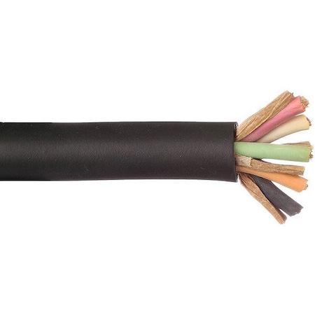 Carol Portable Cord, SOOW, 12 AWG, 5 C, Black, Thermoset, Stranded, 600 V, Outdoor, 10 ft 09205