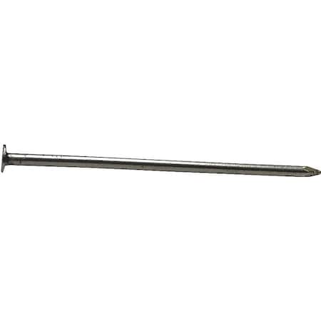 Prosource Common Nail, 3-1/4 in L, 12D, Hot Dipped Galvanized Finish 00054182