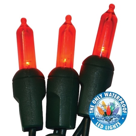 Holiday Bright Lights Lgts Comm Grd T5 Led Red 50L LEDBX-T550-RD6