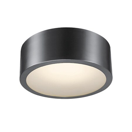 Intense 4.02 x 11.03 x 11.03 in. Edinburg Iron Ceiling Light, Black IN2740982