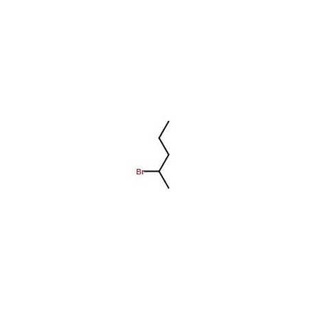 Ak Scientific 2-Bromopentane (1g), CAS 107-81-3 Y1986-1g
