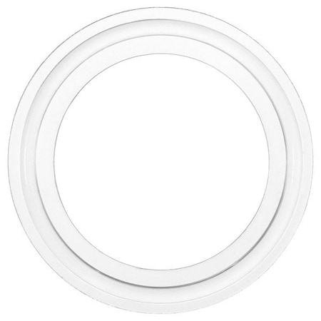 Zoro Select Sanitary Gasket, Clear, 0.2 in Thickness ZUSA-SG-S-10