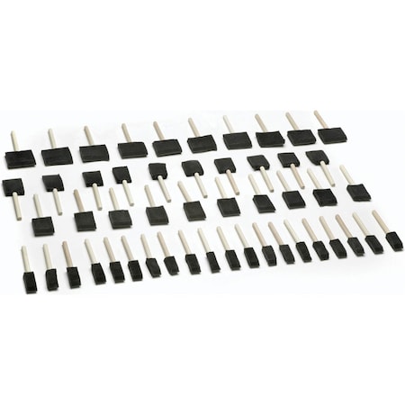 Woodstock 50 pc. Foam Brush Set D2024