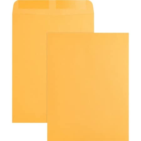 Business Source Catalog Envelope, Brown, Kraft, PK250 BSN42100