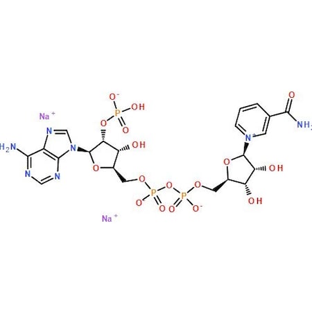 Ak Scientific beta-Nicotinamide adenine dinucleotide phosphate disodium salt (25g), CAS 24292-60-2 X4894-25g