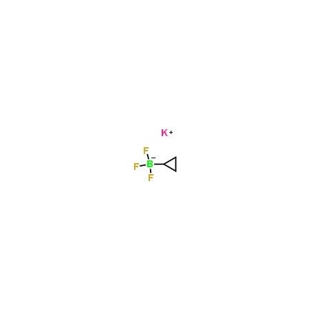 Ak Scientific Potassium cyclopropyltrifluoroborate (10g), CAS 1065010-87-8 B580-10g