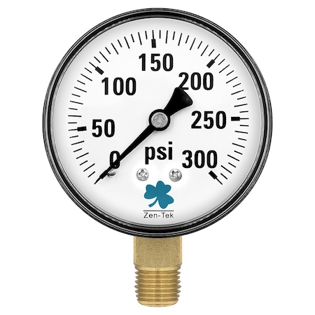 Zenport Dry Air Pressure Gauge, 300 PSI DPG300