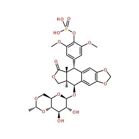 Ak Scientific Etoposide phosphate (25mg), CAS 117091-64-2 G523-25mg